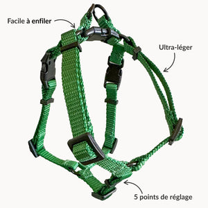 Harnais pour chat SafeTrail™ avec Laisse